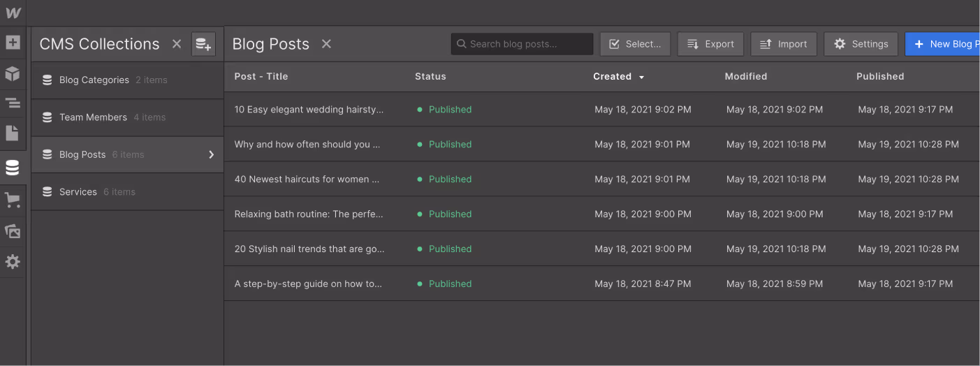 CMS Collection - Salon X Webflow Template